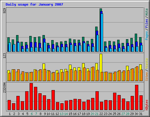 Daily usage for January 2007